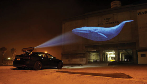 racingextinction_01_photo_credit_oceanic_preservation_society